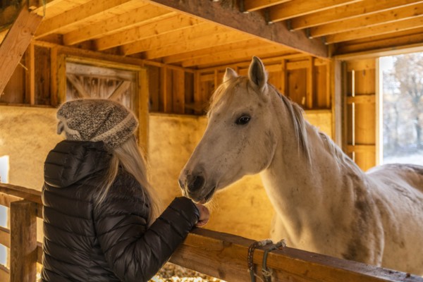 Woman and horse in stable