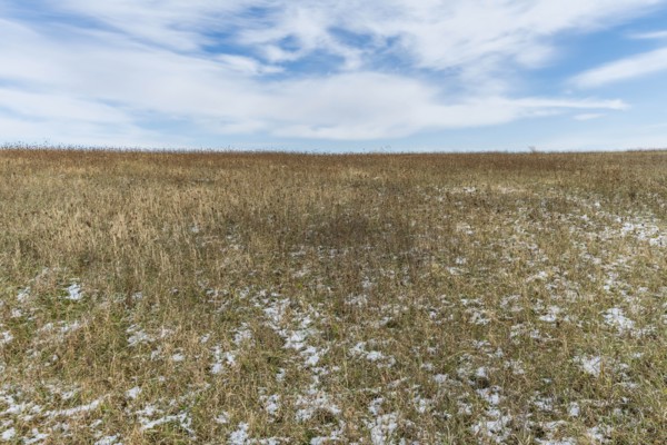 Field under cloud