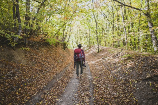 Man hiking in forest