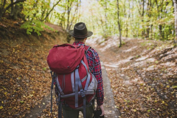 Man hiking in forest