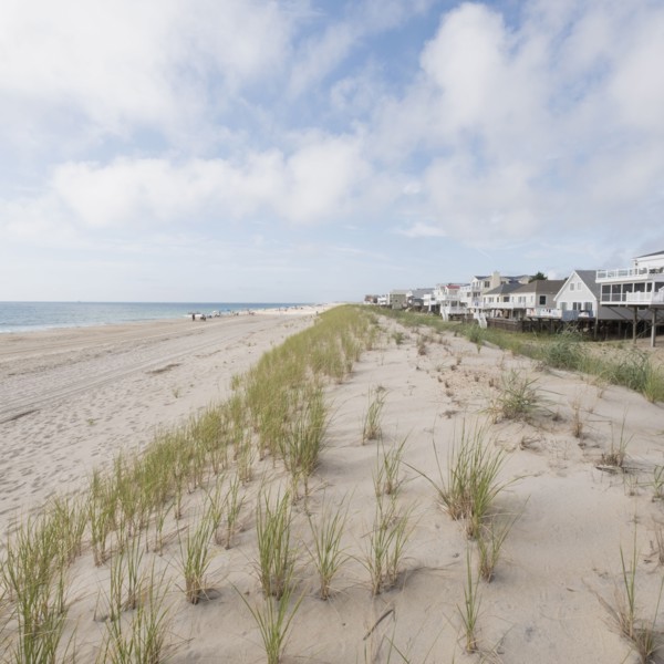Grass on sand dunes at Bethany Beach in Delaware