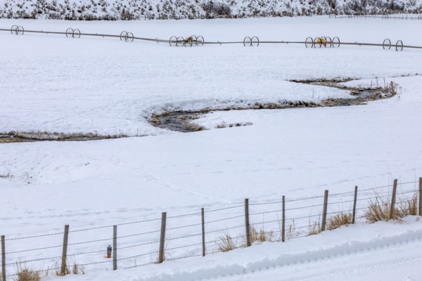 Fence on farm during winter