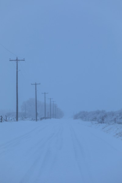 Power lines by snow on highway