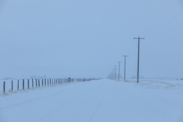 Power lines by snow on highway