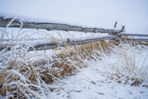 Wooden fence with snow on farm in winter