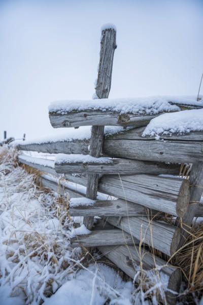 Wooden fence with snow on farm in winter