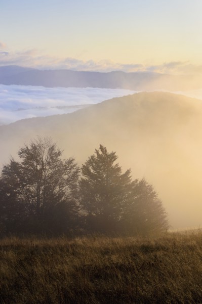 Ukraine, Zakarpattia region, Carpathians, Borzhava, Pryslip Pass, Mountain landscape in morning fog