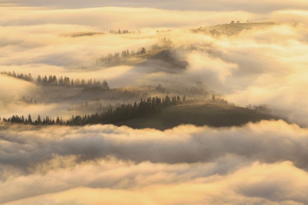 Ukraine, Zakarpattia region, Carpathians, Borzhava, Foggy hills of Carpathian Mountains at sunrise