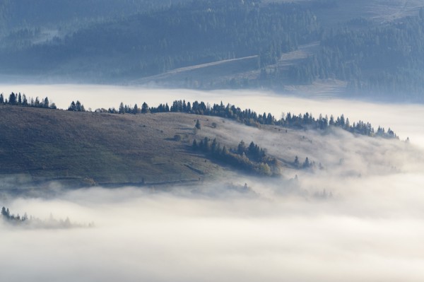 Ukraine, Zakarpattia region, Carpathians, Borzhava, Foggy hills of Carpathian Mountains at sunrise