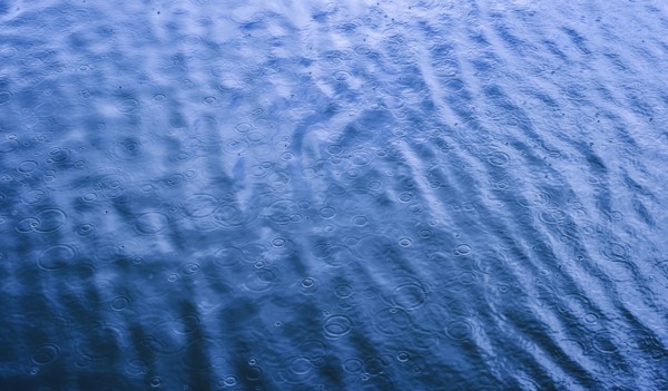 Ripples from rain drops in sea