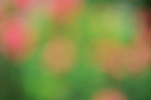 Green blurred image
