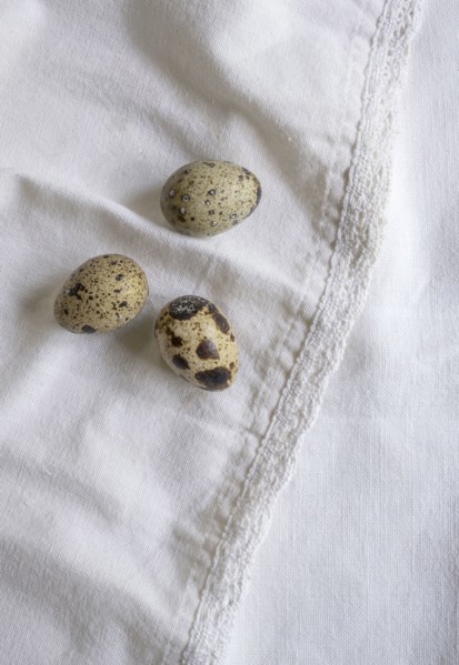 Bird eggs on white fabric