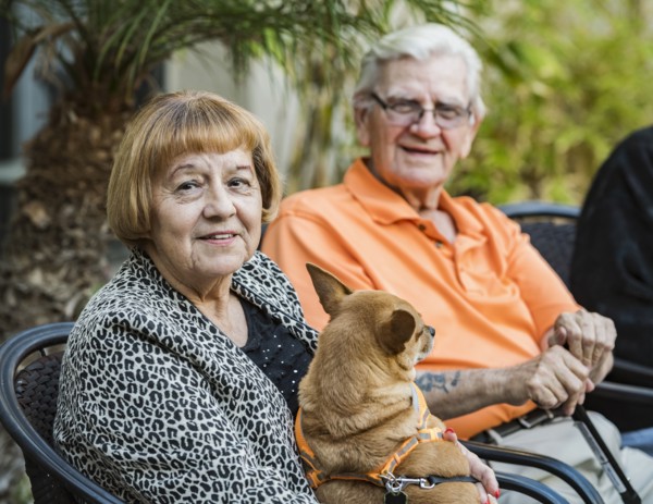 Smiling senior man and woman with dog