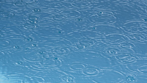 Ripples from rain drops in pond