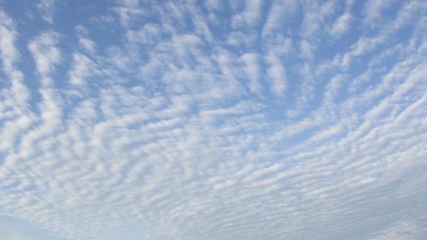Overcast sky