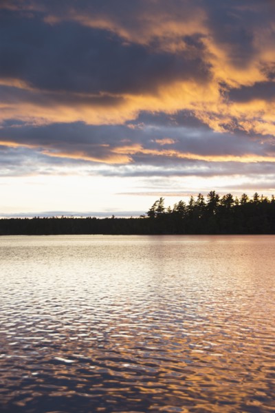 Silhouette of trees and lake at sunset