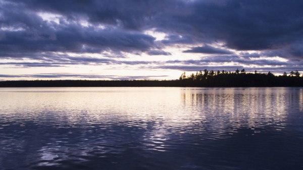 Silhouette of trees and lake at sunset