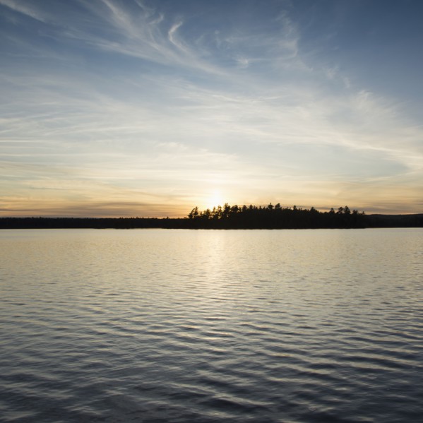 Silhouette of trees and lake at sunset