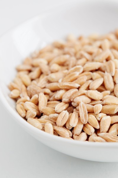 Farro seeds in bowl