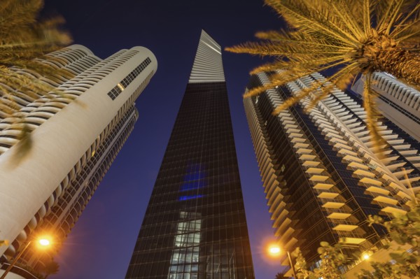 USA, Florida, Miami Beach, Low angle view of skyscrapers and palm trees