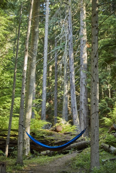USA, Washington, San Juan County, Orcas Island, Hammock in trees