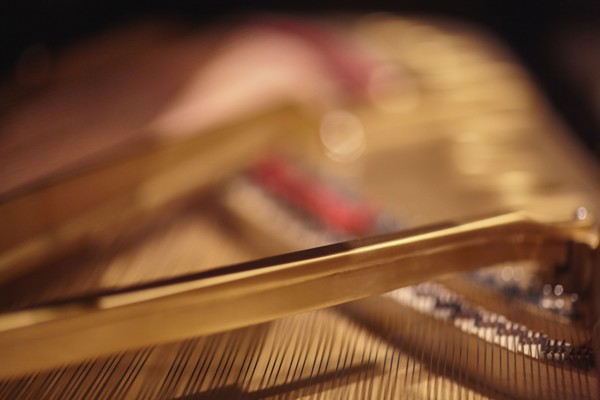 Close-up of piano strings