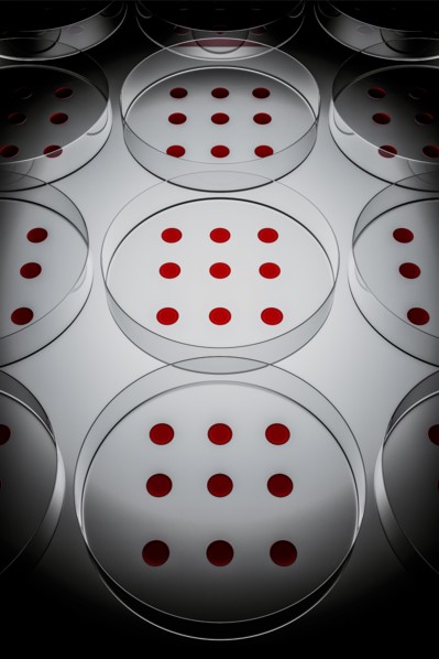 Blood sample tested on petri dish in laboratory