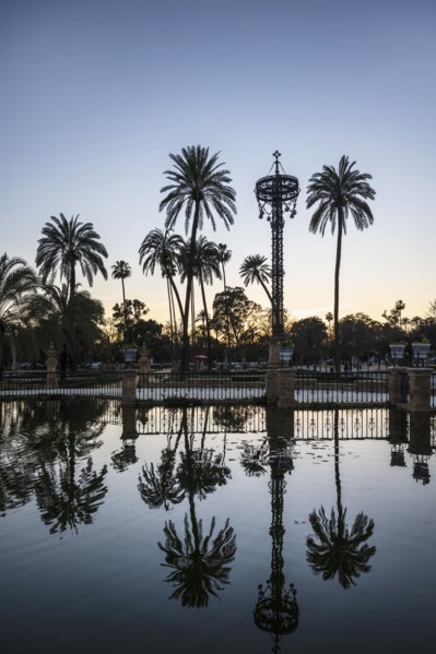 Spain, Seville, Palm trees reflecting in water at Plaza de America