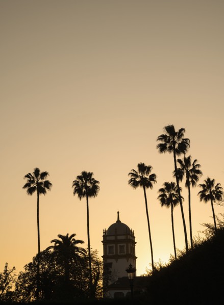 Spain, Seville, Silhouette of palm trees and tower in Maria Luisa Park
