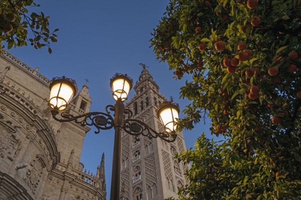 Spain, Seville, Low angle view of Giralda Tower and Seville cathedral at dusk