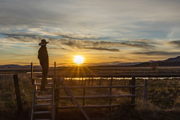 USA, Idaho, Bellevue, Cowboy standing on fence at sunset