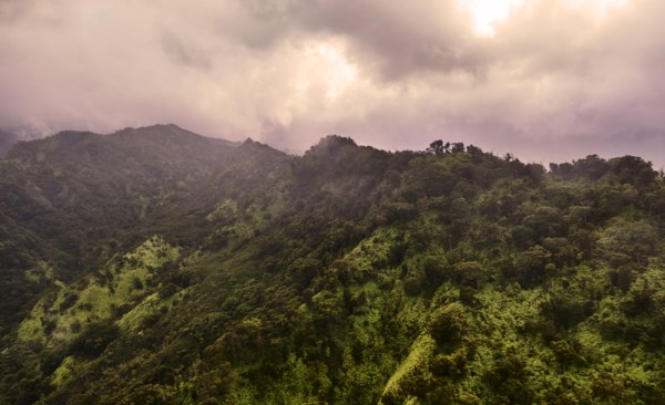 USA, Hawaii, Kauai, Na Pali, Aerial view of mountains covered with forest