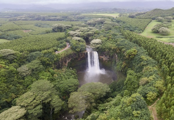 USA, Hawaii, Kauai, Waterfall in forest
