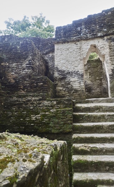 Belize, View of ancient ruins