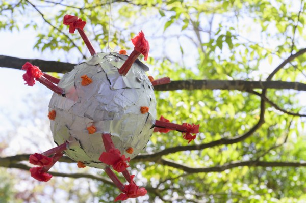 Coronavirus shaped pinata hanging from tree