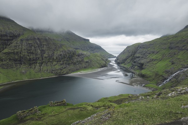 Denmark, Green coastline with cliffs,