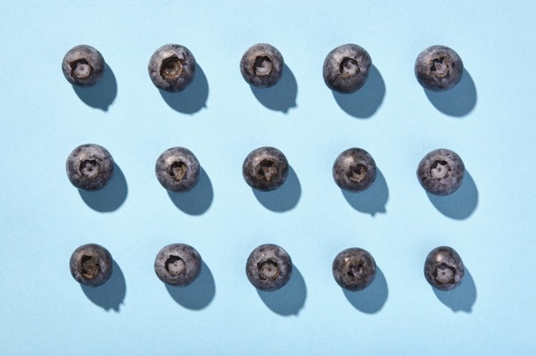 Blueberries in rows on blue background
