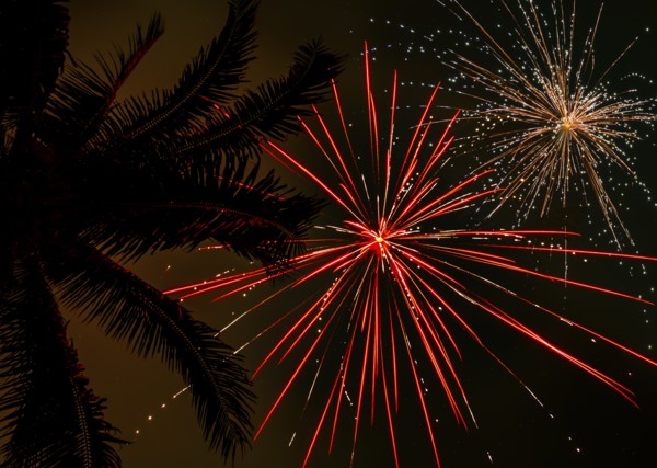 Palm tree and firework display,,