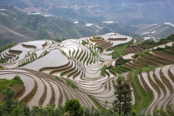 China, Guangxi, Guilin