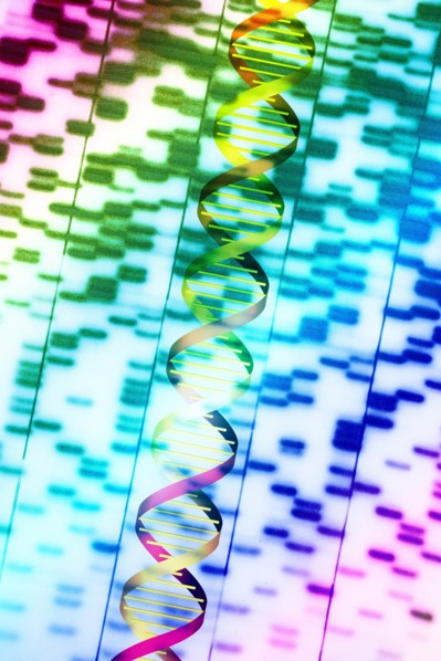 DNA helix and multi-colored sequence chart