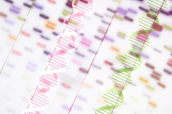 DNA helix and multi-colored sequence chart