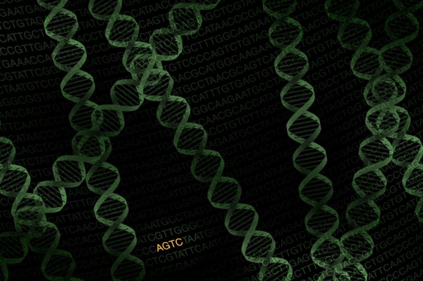 DNA helix on black background