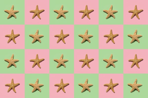 Graphic pattern of starfish on yellow and pink background