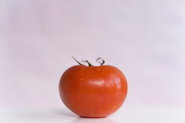 Red tomato on white background