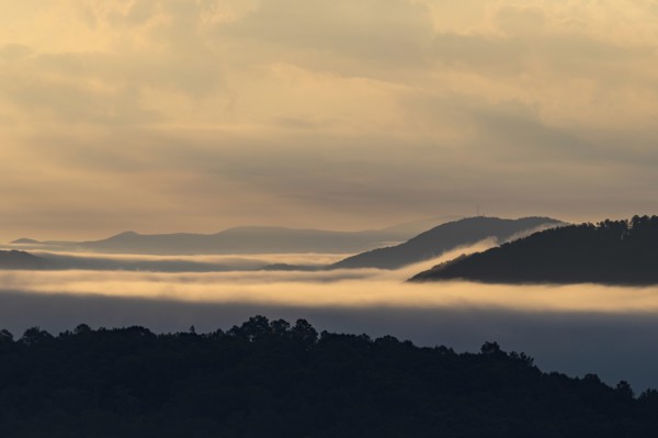 USA, Georgia, Fog and clouds above forest and Blue Ridge Mountains at sunrise