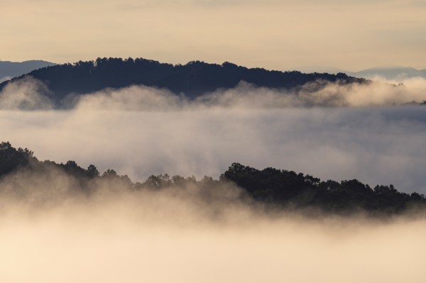 USA, Georgia, Fog and clouds above forest and Blue Ridge Mountains at sunrise