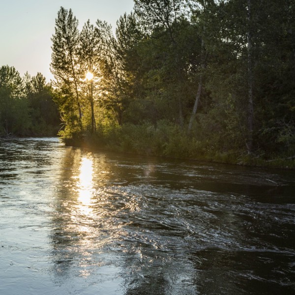 USA, Idaho, Boise, Sunset over forest and river