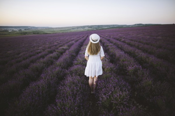 France, Woman in white dress in lavender field