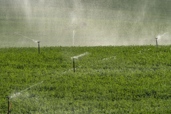 USA, Idaho, Bellevue, Sprinklers in field