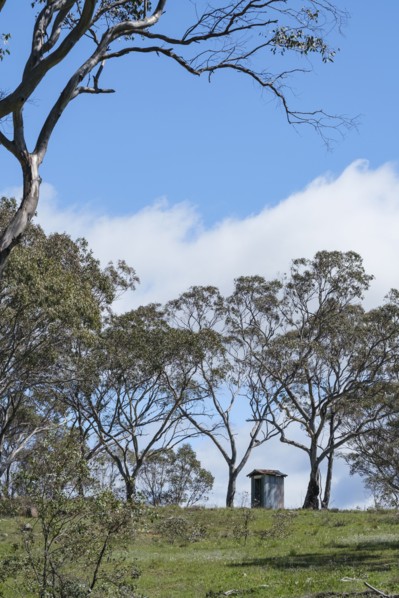Hut among trees under blue sky